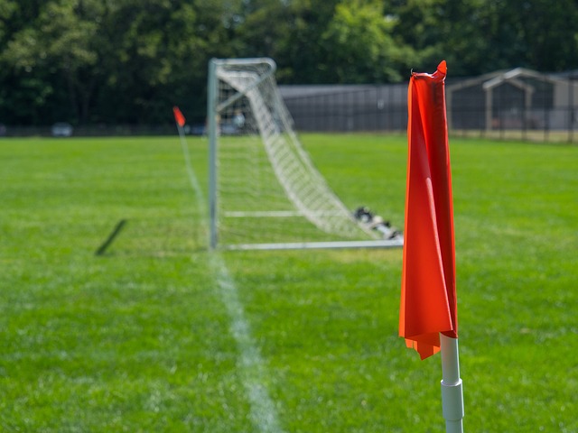 运动员适可 运动员适可