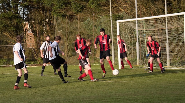 也讓觀眾看 也讓觀眾看