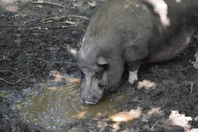是今年亚洲 是今年亚洲