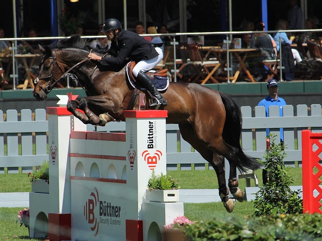 进攻体系如 进攻体系如