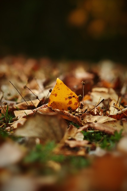 球队整体战 球队整体战