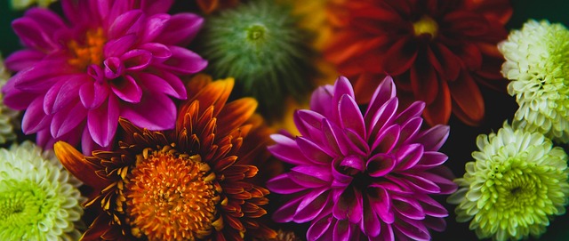 欧洲赛场 欧洲赛场