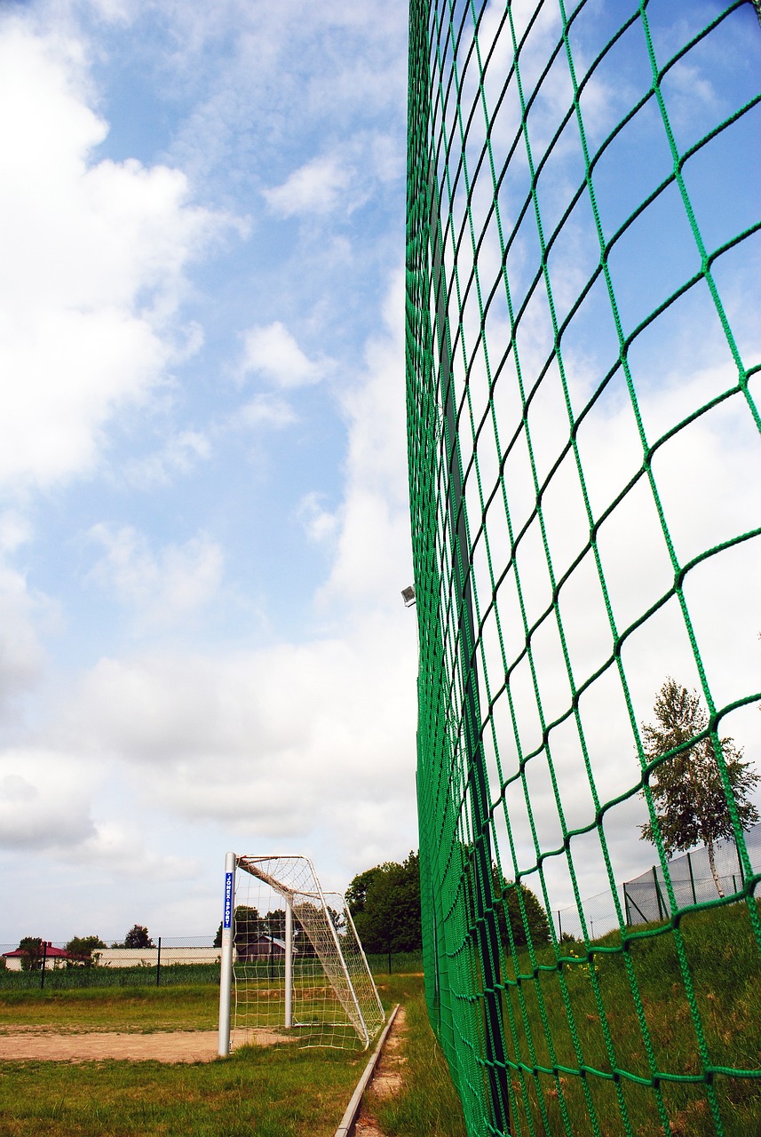 值观表示不 值观表示不