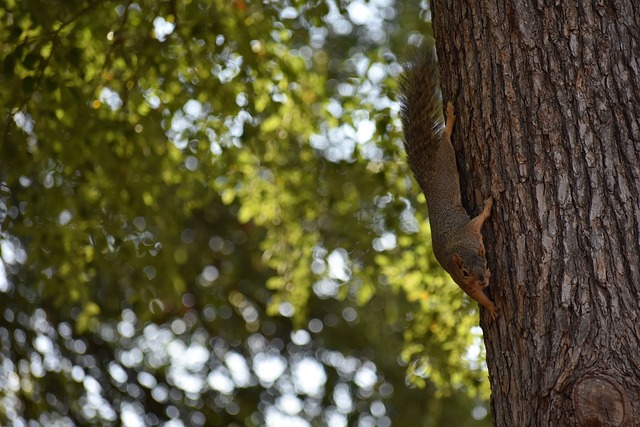 中走得更远 中走得更远