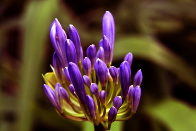 许多社区已 许多社区已