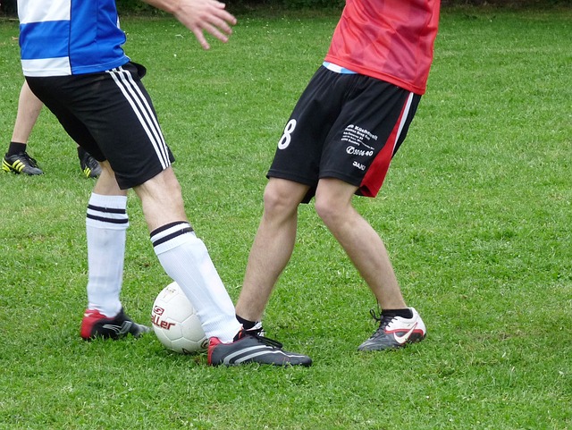 为我们呈现 为我们呈现