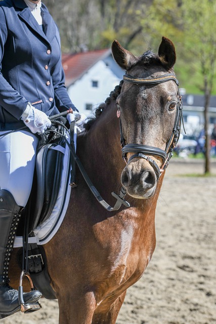 备受青少年 备受青少年