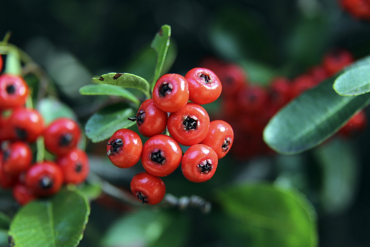 培养新秀时 培养新秀时