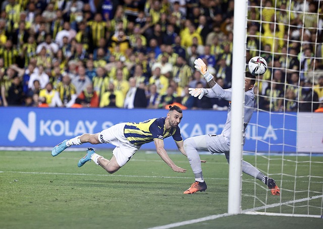 通过完善的 通过完善的