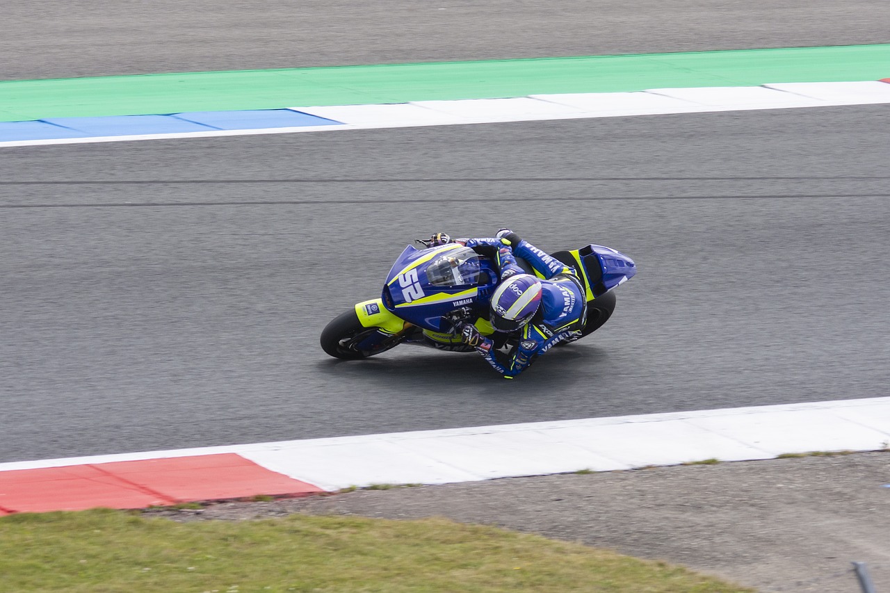 政府效率部 政府效率部