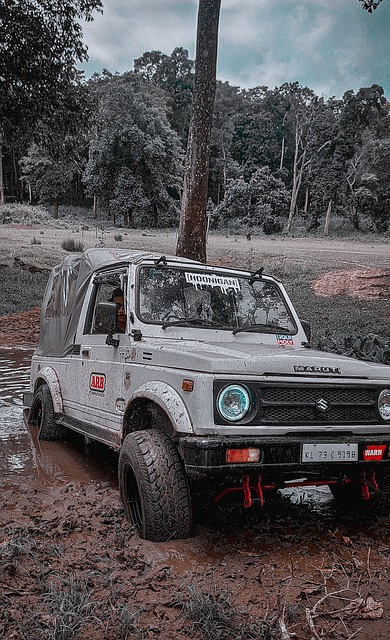 其他赛事 其他赛事