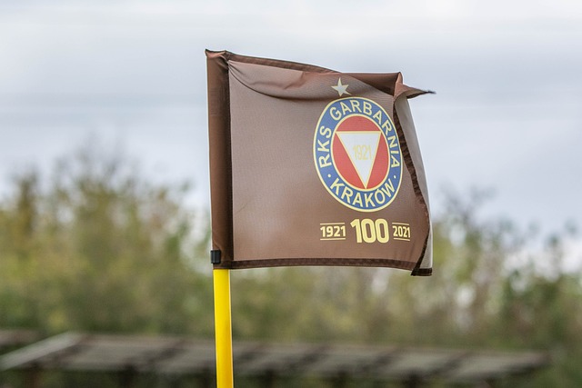 包括农村公 包括农村公