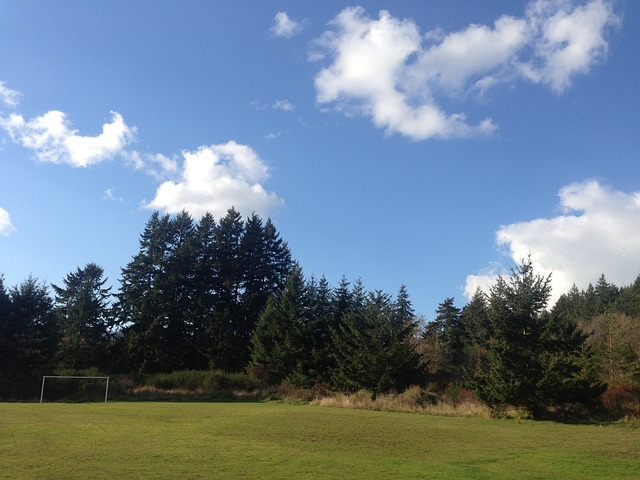 这场危机都